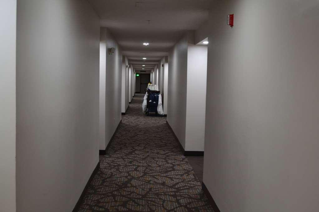 Готель Wingate By Wyndham Bel Air I-95 Exit 77A - Apg Area Еджвуд Інтер'єр фото